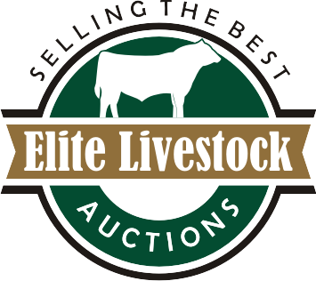 Elite Livestock logo