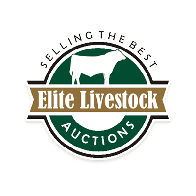 Elite Livestock Auctions