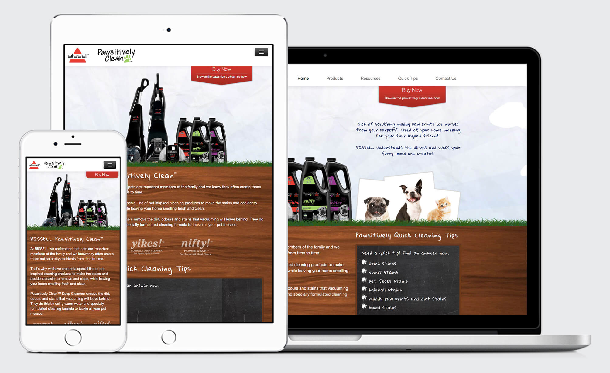 BISSELL Pets splash page responsive website design